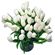 white tulips